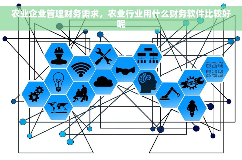 农业企业管理财务需求，农业行业用什么财务软件比较好呢