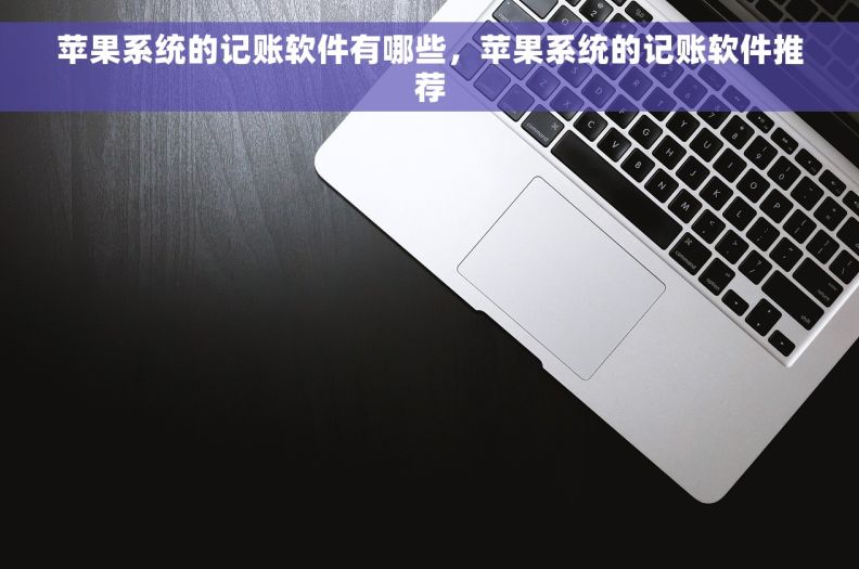苹果系统的记账软件有哪些，苹果系统的记账软件推荐
