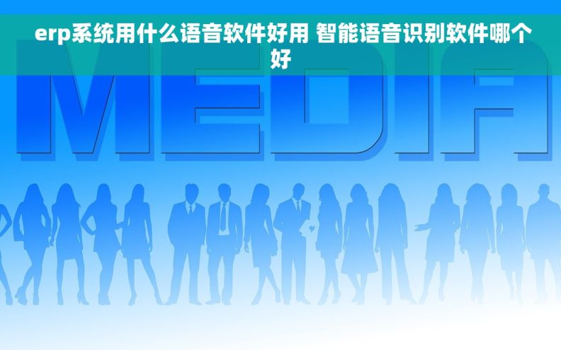  erp系统用什么语音软件好用 智能语音识别软件哪个好