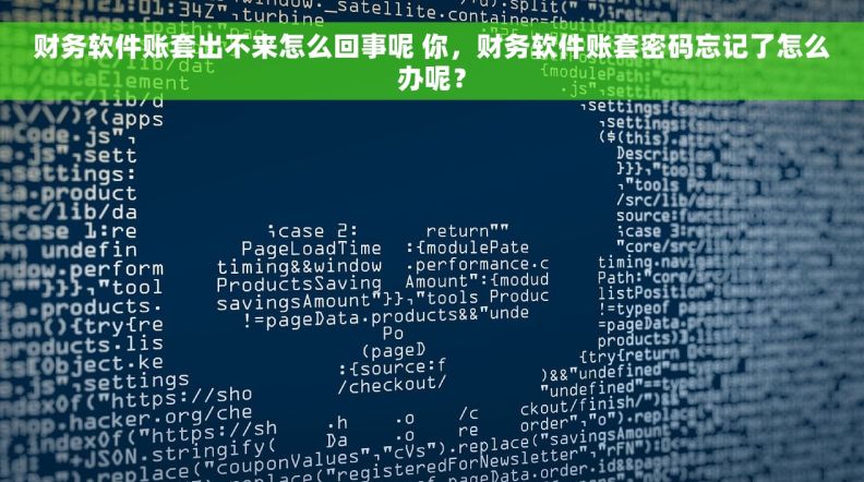 财务软件账套出不来怎么回事呢 你，财务软件账套密码忘记了怎么办呢？