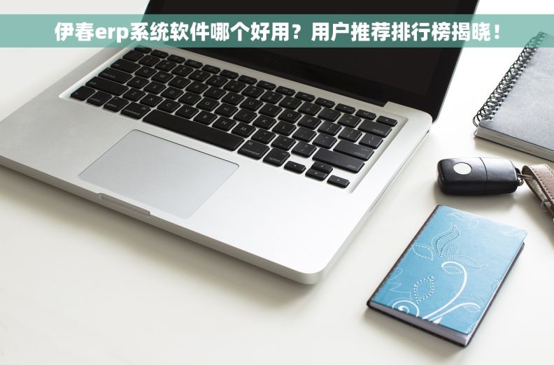 伊春erp系统软件哪个好用？用户推荐排行榜揭晓！