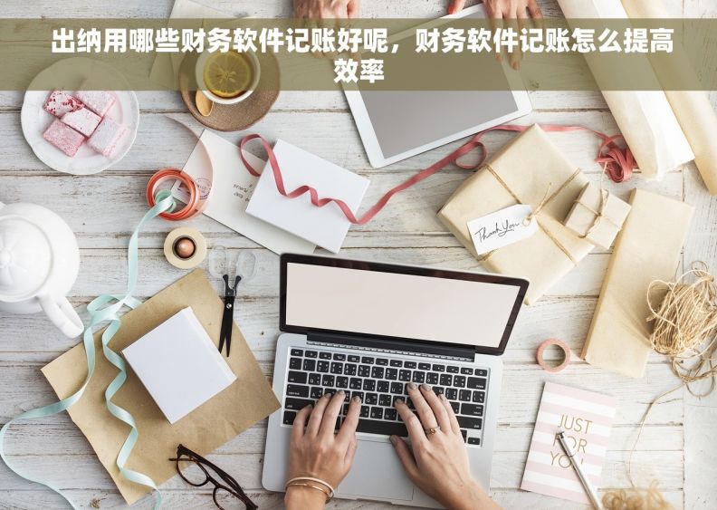  出纳用哪些财务软件记账好呢，财务软件记账怎么提高效率