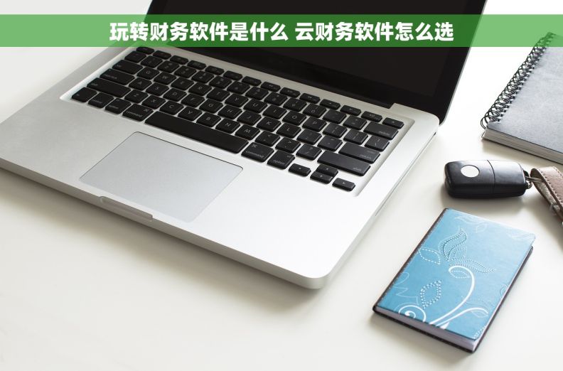玩转财务软件是什么 云财务软件怎么选