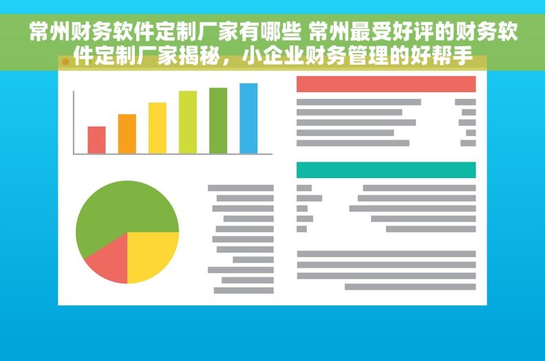 常州财务软件定制厂家有哪些 常州最受好评的财务软件定制厂家揭秘，小企业财务管理的好帮手