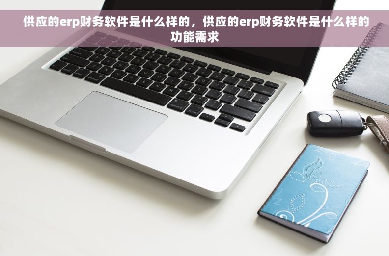  供应的erp财务软件是什么样的，供应的erp财务软件是什么样的功能需求