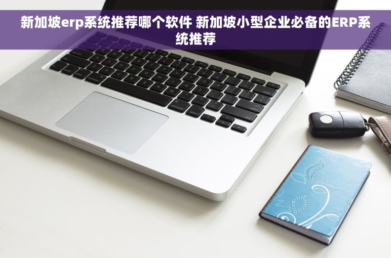 新加坡erp系统推荐哪个软件 新加坡小型企业必备的ERP系统推荐