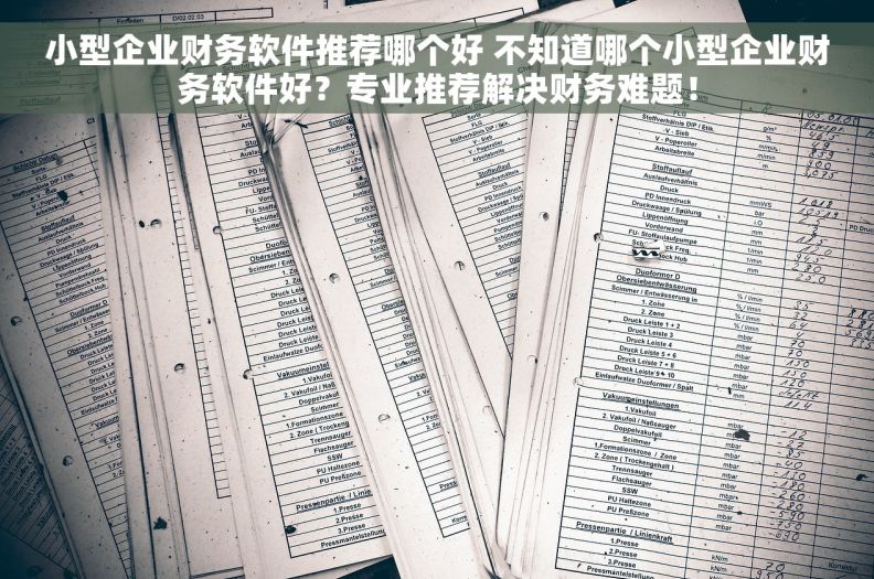 小型企业财务软件推荐哪个好 不知道哪个小型企业财务软件好？专业推荐解决财务难题！