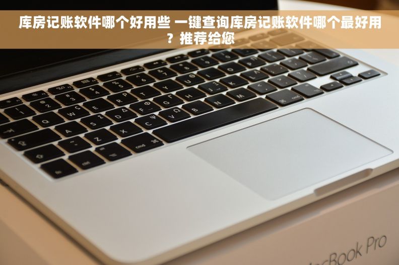 库房记账软件哪个好用些 一键查询库房记账软件哪个最好用？推荐给您