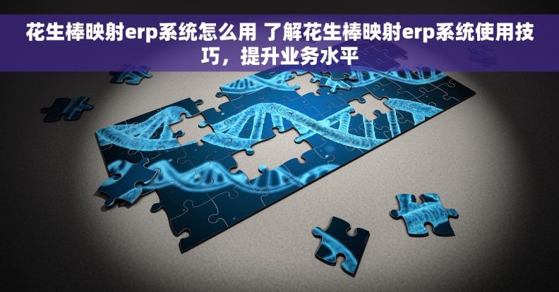 花生棒映射erp系统怎么用 了解花生棒映射erp系统使用技巧，提升业务水平