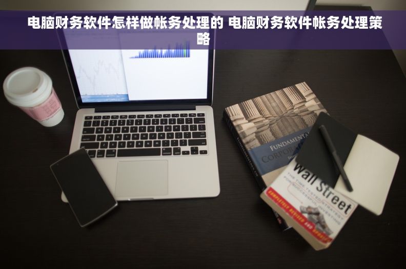  电脑财务软件怎样做帐务处理的 电脑财务软件帐务处理策略