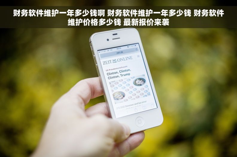 财务软件维护一年多少钱啊 财务软件维护一年多少钱 财务软件维护价格多少钱 最新报价来袭