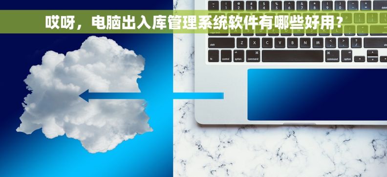 哎呀，电脑出入库管理系统软件有哪些好用？