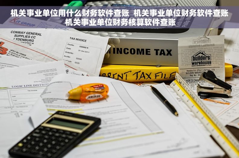 机关事业单位用什么财务软件查账  机关事业单位财务软件查账 机关事业单位财务核算软件查账