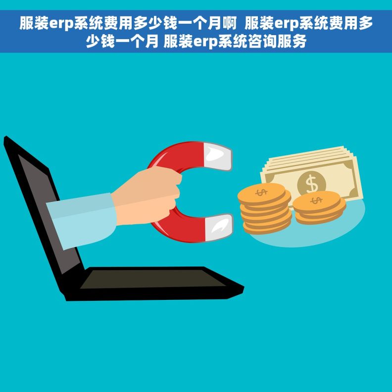 服装erp系统费用多少钱一个月啊  服装erp系统费用多少钱一个月 服装erp系统咨询服务