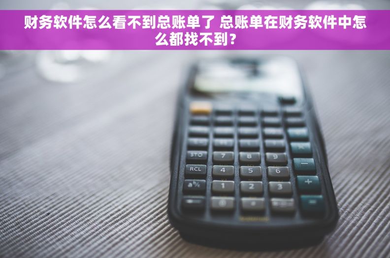 财务软件怎么看不到总账单了 总账单在财务软件中怎么都找不到？