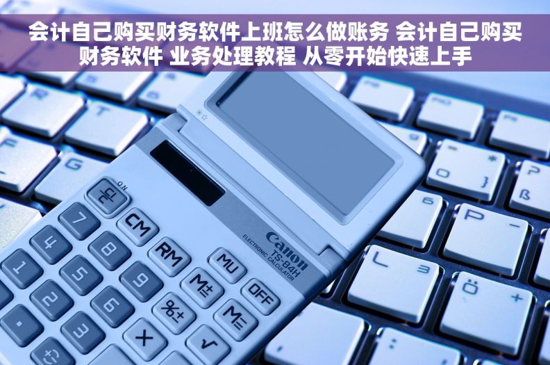 会计自己购买财务软件上班怎么做账务 会计自己购买财务软件 业务处理教程 从零开始快速上手