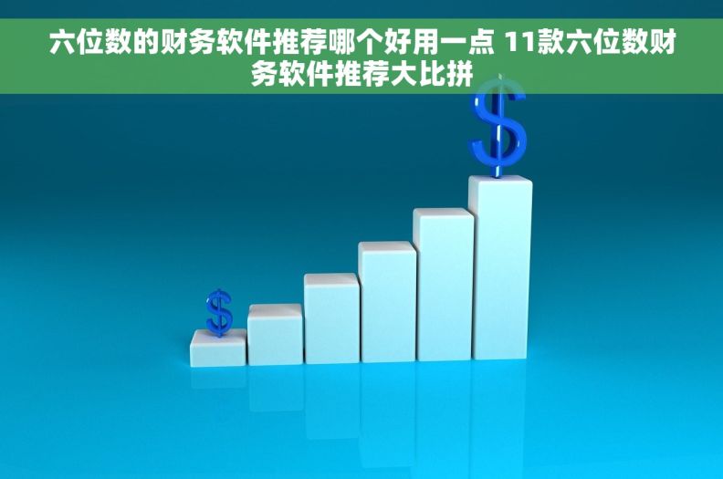 六位数的财务软件推荐哪个好用一点 11款六位数财务软件推荐大比拼