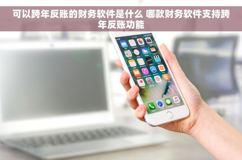 可以跨年反账的财务软件是什么 哪款财务软件支持跨年反账功能