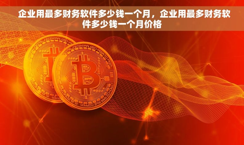   企业用最多财务软件多少钱一个月，企业用最多财务软件多少钱一个月价格