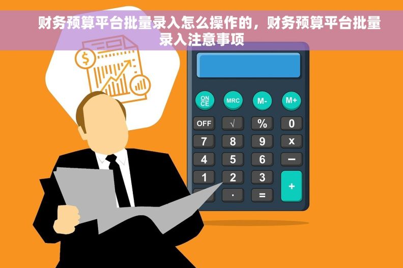    财务预算平台批量录入怎么操作的，财务预算平台批量录入注意事项