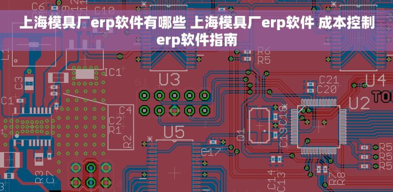 上海模具厂erp软件有哪些 上海模具厂erp软件 成本控制erp软件指南