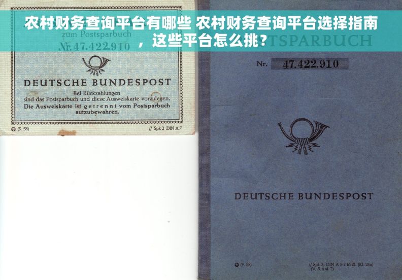 农村财务查询平台有哪些 农村财务查询平台选择指南，这些平台怎么挑？