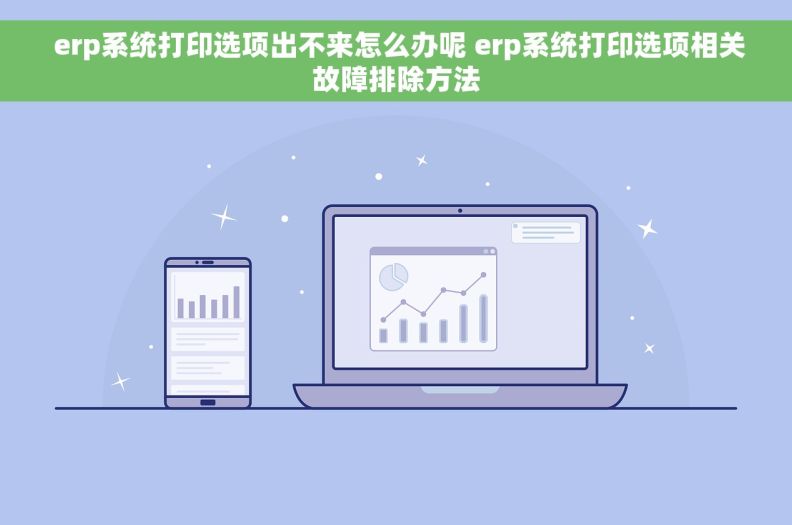  erp系统打印选项出不来怎么办呢 erp系统打印选项相关故障排除方法