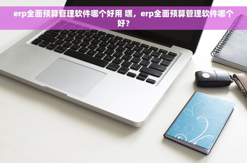 erp全面预算管理软件哪个好用 嘿，erp全面预算管理软件哪个好？