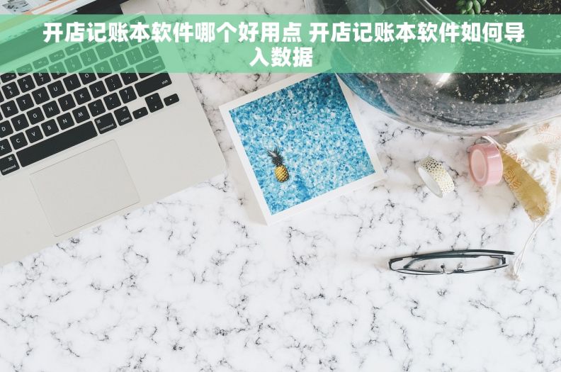  开店记账本软件哪个好用点 开店记账本软件如何导入数据