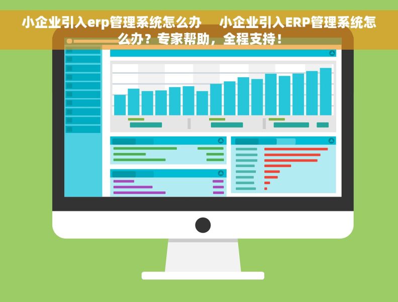 小企业引入erp管理系统怎么办     小企业引入ERP管理系统怎么办？专家帮助，全程支持！