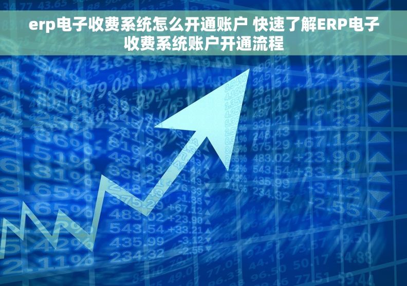 erp电子收费系统怎么开通账户 快速了解ERP电子收费系统账户开通流程
