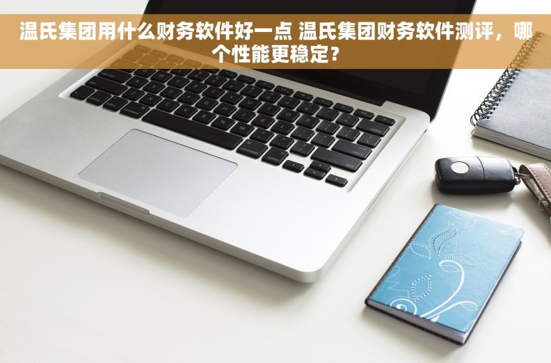 温氏集团用什么财务软件好一点 温氏集团财务软件测评，哪个性能更稳定？