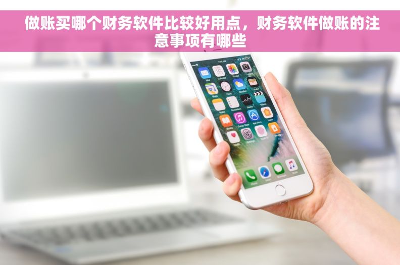  做账买哪个财务软件比较好用点，财务软件做账的注意事项有哪些