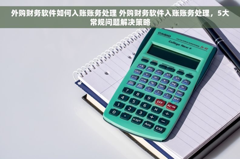 外购财务软件如何入账账务处理 外购财务软件入账账务处理，5大常规问题解决策略