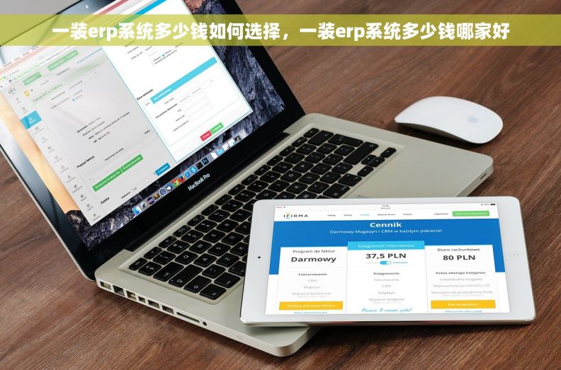 一装erp系统多少钱如何选择，一装erp系统多少钱哪家好
