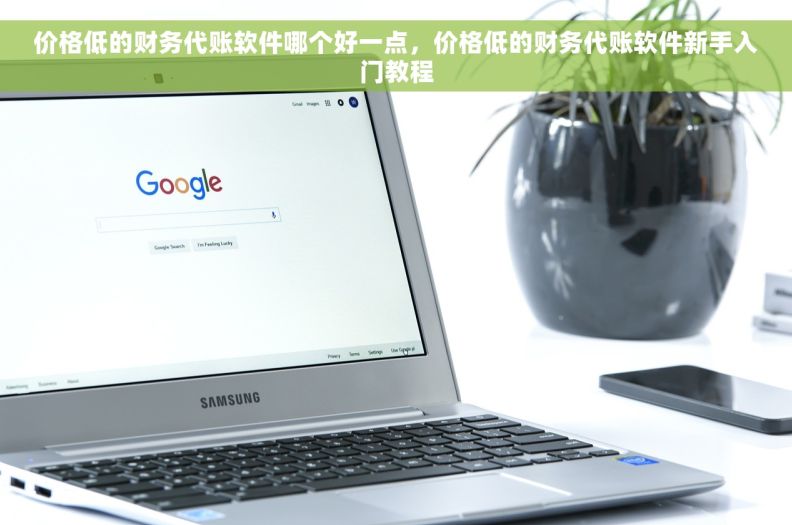 价格低的财务代账软件哪个好一点，价格低的财务代账软件新手入门教程