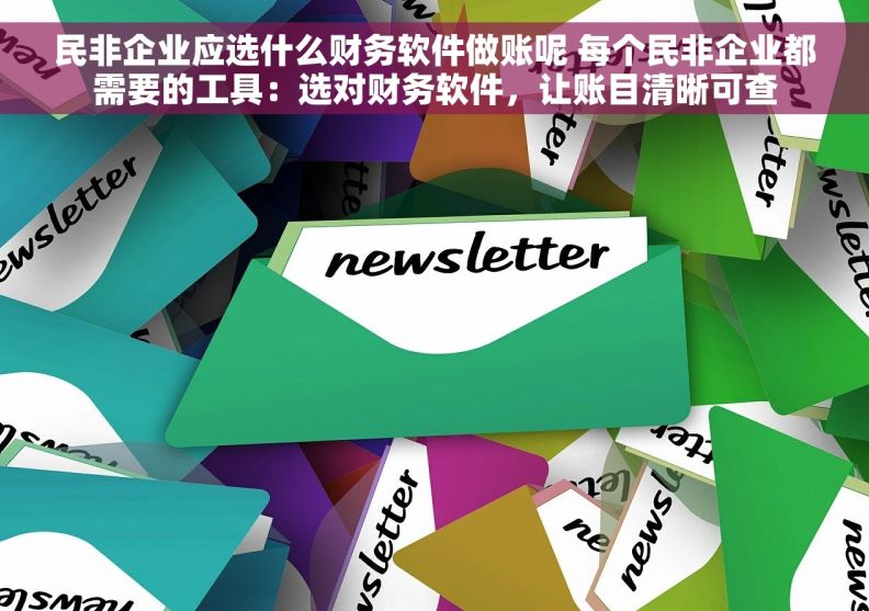 民非企业应选什么财务软件做账呢 每个民非企业都需要的工具：选对财务软件，让账目清晰可查