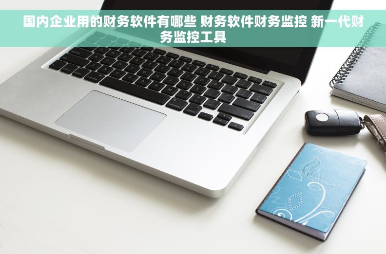 国内企业用的财务软件有哪些 财务软件财务监控 新一代财务监控工具