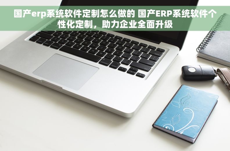 国产erp系统软件定制怎么做的 国产ERP系统软件个性化定制，助力企业全面升级