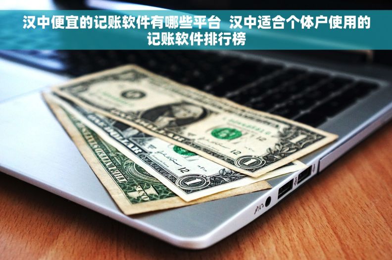 汉中便宜的记账软件有哪些平台  汉中适合个体户使用的记账软件排行榜