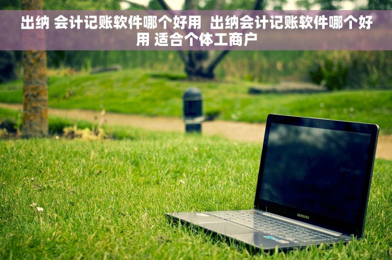 出纳 会计记账软件哪个好用  出纳会计记账软件哪个好用 适合个体工商户