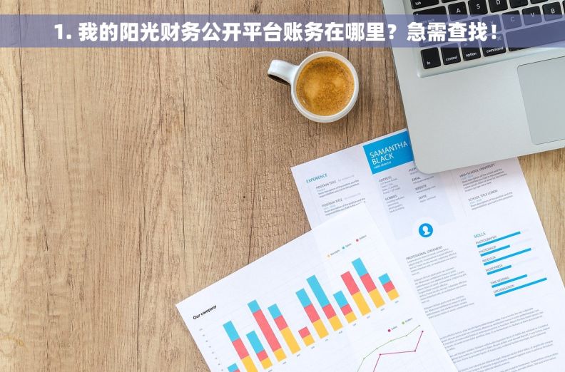 1. 我的阳光财务公开平台账务在哪里？急需查找！ 