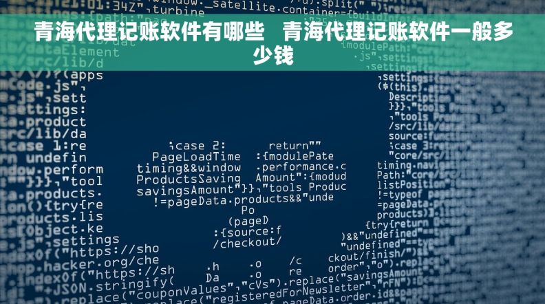 青海代理记账软件有哪些   青海代理记账软件一般多少钱