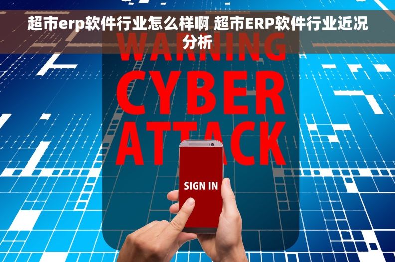 超市erp软件行业怎么样啊 超市ERP软件行业近况分析
