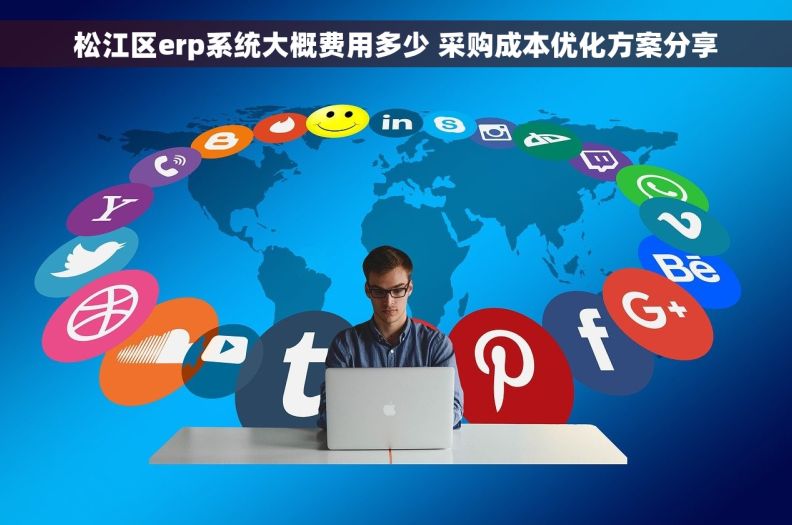 松江区erp系统大概费用多少 采购成本优化方案分享