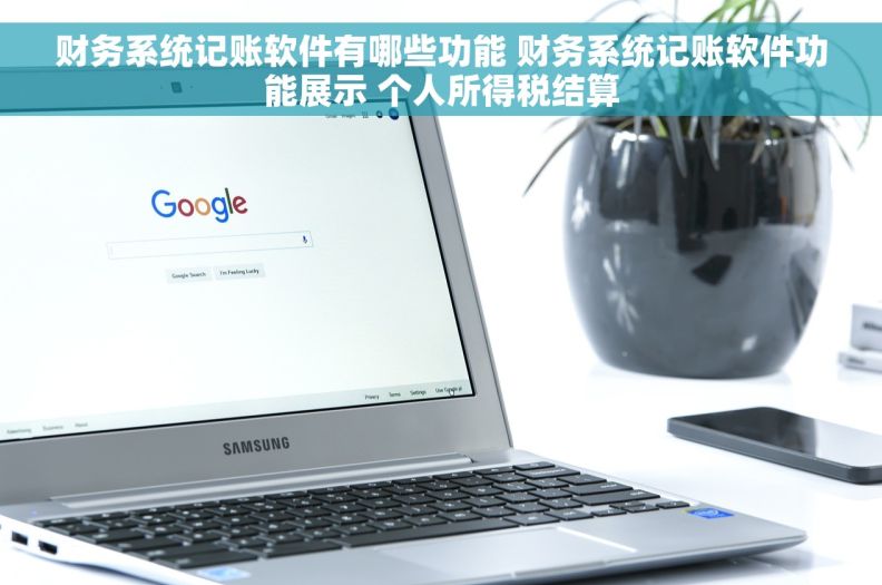 财务系统记账软件有哪些功能 财务系统记账软件功能展示 个人所得税结算