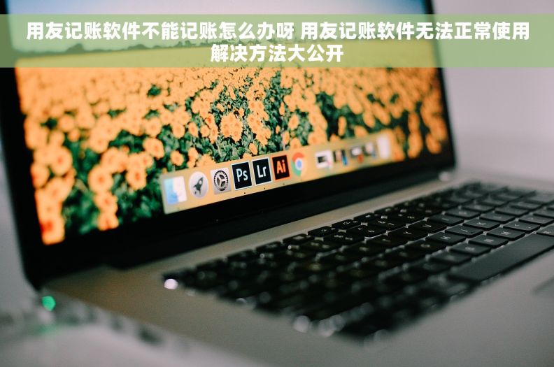 用友记账软件不能记账怎么办呀 用友记账软件无法正常使用解决方法大公开