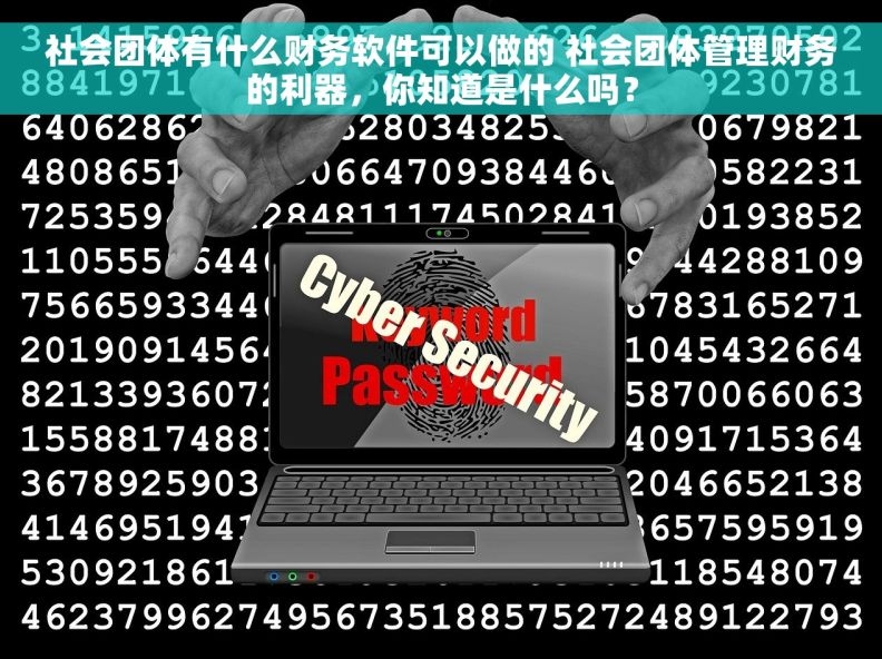 社会团体有什么财务软件可以做的 社会团体管理财务的利器，你知道是什么吗？