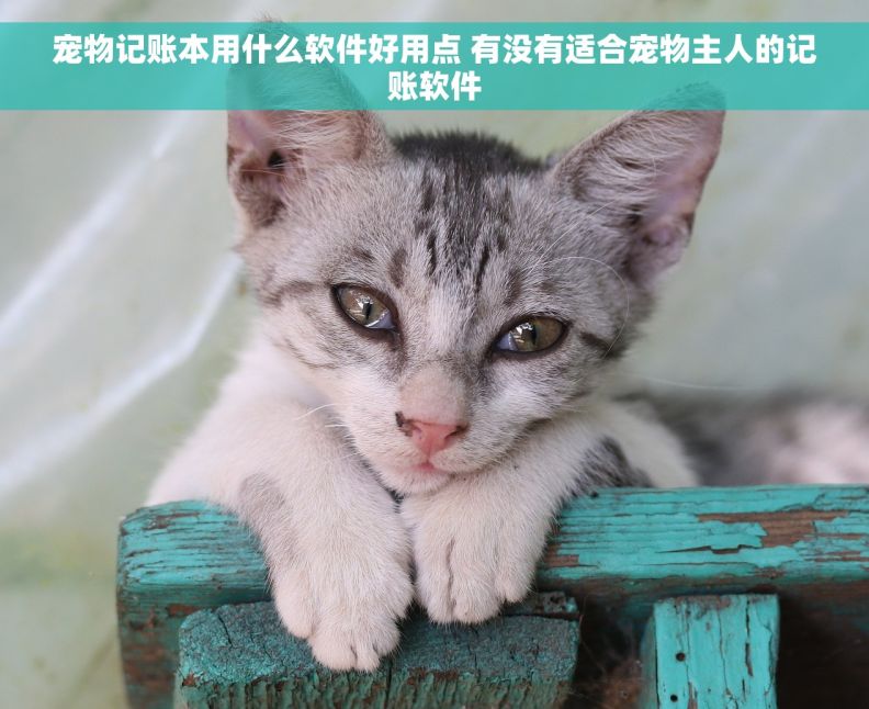 宠物记账本用什么软件好用点 有没有适合宠物主人的记账软件