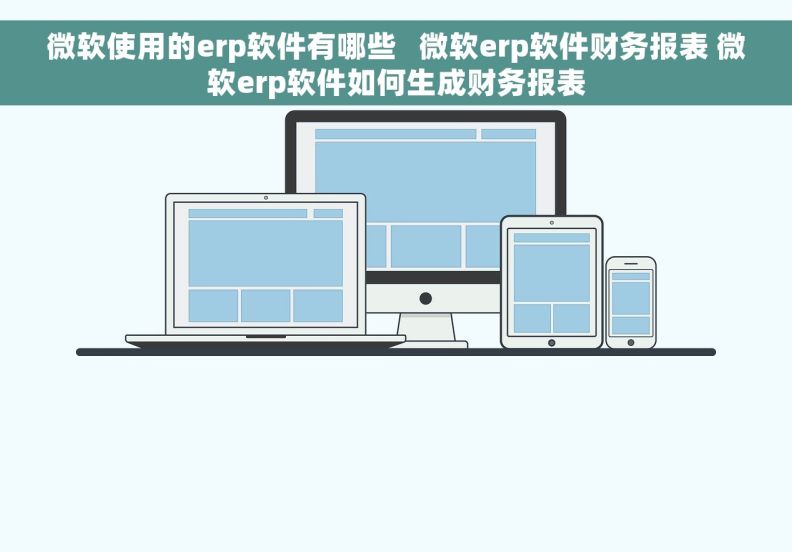 微软使用的erp软件有哪些   微软erp软件财务报表 微软erp软件如何生成财务报表